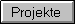 Projekte